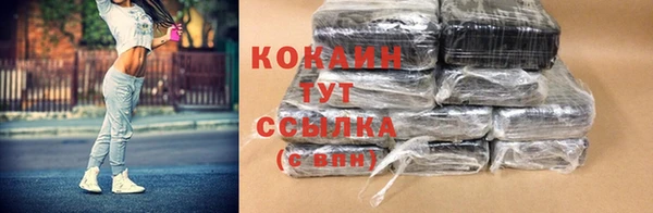 стафф Кодинск