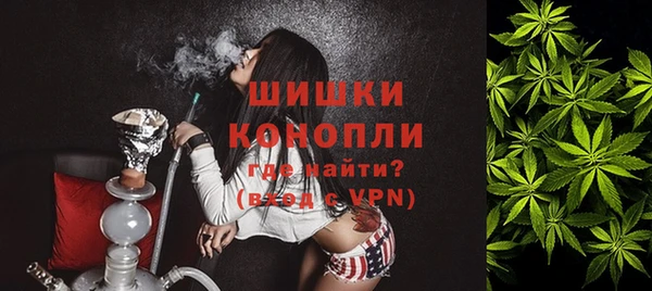 стафф Кодинск