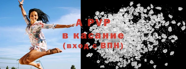 стафф Кодинск