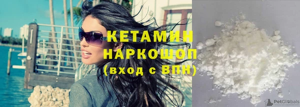 стафф Кодинск